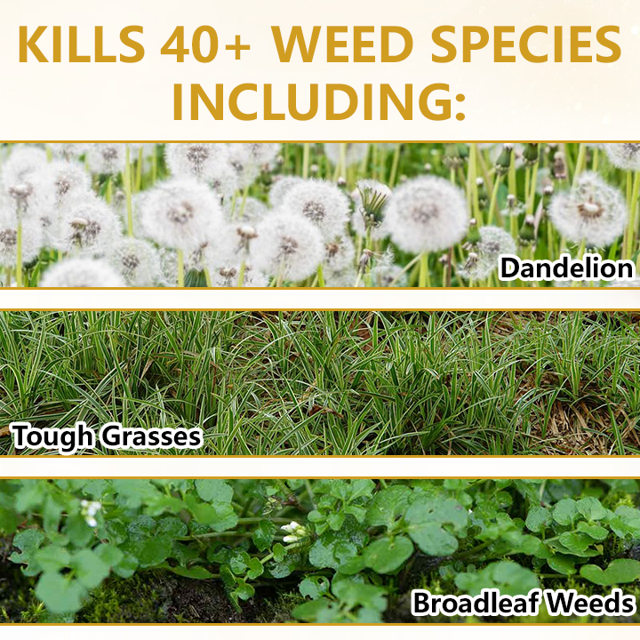 Timilk® Pro Strength 2-in-1 Herbicide