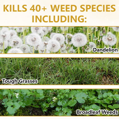 Timilk® Pro Strength 2-in-1 Herbicide