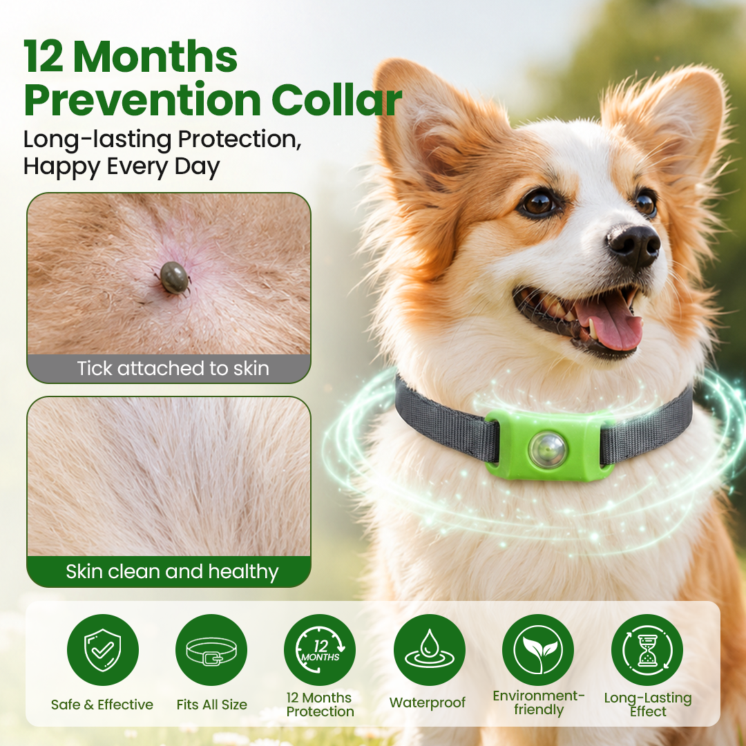 Timilk® Petlavo 12-Month Flea & Tick Collar 🐶 — Say Goodbye to Fleas & Ticks 💨, Keep Your Dog Comfortable 🌿, Long-Lasting Protection ✅
